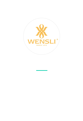 WENSLI GROUP湖南微信小程序开发公司